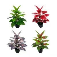 ราคา ส่งจากไทย ต้นไม้ปลอม ต้นฤาษีผสม 3สี สูง 30 ซม. 28 ใบ (1734444368265774882)
