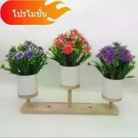 ราคา shopkit ขนาดเล็ก ปลอม ดอกไม้ในกระถาง ไม้สัก บอนไซ ของตกแต่งในกระถาง ต้นไม้ปลอม ต้นไม้จำลองในกระถาง ตกแต่งโต๊ะทำงาน (1734434326523380986)