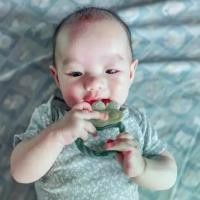ราคา ยางกัดเด็ก ยางกัดอังจู ยางกัดถั่วแระ อังจู Green Bean Teether ยางกัดเสริมพัฒนาการจากเกาหลี แท้ (มี มอก.) (1734663367855212309)