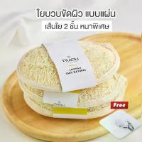 ราคา ใยบวบขัดผิว ใยบวบขัดตัว บวบขัดตัว ใยบวบ body scrub สครับขัดผิว สครับ สคับ (1734698547538200204)
