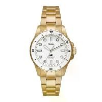 ราคา Fossil ES5350 Blue Dive Women Watch 28 mm (1732050856502594323)