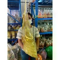 ราคา พระปทม พระពុท្ធ สมเด็จองค์ปฐม พระจักรพรรดิ กว้าง14นิ้ว สูง 24 องค์ใหญ่ ประดับทองเค พระปทม meditation (1734382812288222967)