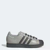 ราคา adidas Lifestyle SUPERSTAR II SHOES Women Grey IH1629 (1733431015021053715)