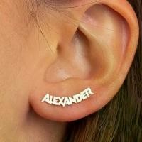 ราคา 【L stal】 Custom Punk Name Stud Earrings For Women Men Stainless Steel Customized Earring Female Personalized Ear Jewelry Birthday Gift (1734896846845805605)