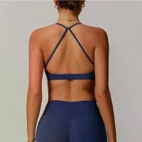 ราคา Women's Sports Bras Sports Bra Anti-sweat Breathable Yoga Bra Crop Top Fitness Top Push Up Workout Shirt (1734954623015749314)