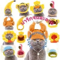 ราคา Pet Accessory - Hat หมวกสัตว์เลี้ยง Cosplay Hat, Pet Hat Headgear, Fun Dress-up Pet Hat หมวกโคสเปลย์, อุปกรณ์หัวหมวกสัตว์เลี้ยง, หมวกสัตว์เลี้ยงประดับความตลก (1733321746968774214)