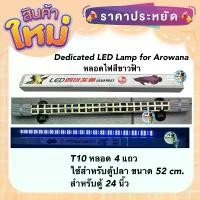 ราคา Dedicated LED Lamp for Arowana หลอดไฟสีขาวฟ้า T10 หลอด 4 แถวใช้สำหรับตู้ปลา ขนาด 52 cm. สำหรับตู้ 24 นิ้ว ขาย (1734954570963780829)