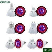 ราคา 【สินค้าขายดี หลอด GU10】 ชุด 10 ชิ้น ไฟปลูกต้นไม้ LED สเปกเต็มช่วง Phyto Lamp สำหรับ 220V ใช้หลอดขั้ว E27/E14/MR16/GU10 เหมาะสำหรับใช้ในร่มสำหรับต้นกลและดอกไม้ (1734919279726528326)