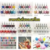 ราคา จัดส่งฟรี กทม มีบริการเก็บปลายทาง สีเจลไม่ต้องอบ สีกึ่งเจล (ยกโหล) ยาทาเล็บกึ่งสีเจล Calar Gel Effect Nail Color ยาทาเล็บ คาล่าร์ (1733578019800712731)