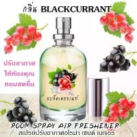 ราคา Spray Perfume Air Freshener 120ml กลิ่น BLACKCURRANT (1735419729971807695)