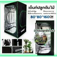 ราคา เต็นท์ปลูกต้นไม้ ชุดตู้ปลูกต้นไม้ เต็นท์สำหรับปลูกต้นไม้ Grow Tent เต้นท์ปลูกต้นไม้ ปลูกพืชในร่ม เพาะต้นกล้า โรงเรือน (1735202024117273657)