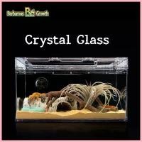 ราคา COD Barbarous Growth กล่องเลี้ยงสัตว์เลื้อยคลาน crystal glass สำหรับ ตุ๊กแก งู (1734649790232299165)