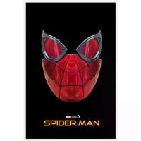 ราคา หน้ากากสไปเดอร์แมน Spiderman Iron Spiderman Mask (with eyes) (1/1 Wearable) (1732698157498991965)