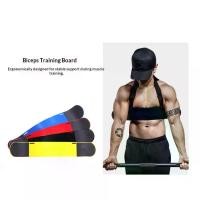 ราคา Bicep Training Aid Plate Gym Dumbbell Press Equipment Iron Shoulder Forearm Bicep Curl Plate (1735161841038690131)