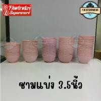 ราคา แนะนำ แนะนำ ถ้วย​แบ่ง, ถ้วยกลม, ชาม​กลม, ชาม​แบ่ง​ 3.5​นิ้ว​ เมลามีน​แท้​เกรด​เอ​ ยี่ห้อ​ เครื่องประดับดอกไม้​ ผลิต​จาก​ ซุปเปอร์แวร์​ ยกโหล​TikTok (1735494349790086451)