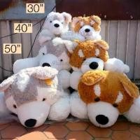 ราคา ☛ตุ๊กตา Siberian Husky ไซบีเรียนฮัสกี้ & Shiba ชิบะ ผ้าพันคอ 30/40/50นิ้ว สุนัข ไซบีเรียน ฮัสกี้ ตุ๊กตาหมา ตุ๊กตาไซส์ใหญ่♪ (1735075561899721923)