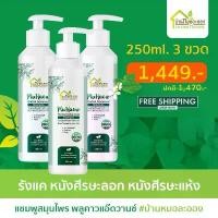 ราคา บ้านหมอละออง แชมพูสมุนไพร พลูคาวแอ๊ดวานซ์ 250ml. x3 ขวด แชมพู ศีรษะแห้ง รังแค จากสะเก็ดเงินก็ใช้ได้ คําแนะนําผลิตภัณฑ์ใหม่ของเดือนนี้ (1735443782006637952)