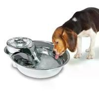 ราคา Pioneer Pet Big Max Stainless Steel Fountain 128 oz (3.8 L) น้ำพุสัตว์เลี้ยง น้ำพุสุนัขแมว น้ำพุแสตนเลส (1734456811369891283)