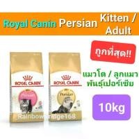 ราคา Royal Canin Persian Adult 10kg Royal Canin Kitten Persian 10kg อาหารแมวโต ลูกแมว เปอร์เซีย ถุง 10 กก. น้อง แมว สัตว์เลี้ยง (1734605825990100090)