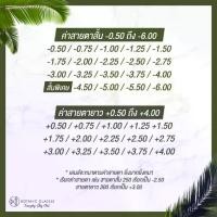 ราคา แว่นสายตาสั้น ยาว ทรงหยดน้ำ 0.50 ถึง 6.00 Botanic Glasses แว่นสายตา แว่นตา แถม กระเป๋าหนัง ผ้าเช็ดแว่น (1731748368966583345)