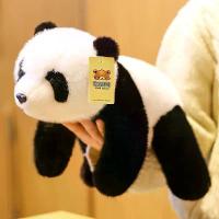 ราคา ตุ๊กตาหมีขั้วโลกจาก Doll Tribe, ตุ๊กตาแพนด้าสำหรับนอนบนเตียง, หมอนกอดขา, ตุ๊กตาหมีสีน้ำตาลขนาดเล็ก (1735315386247709843)