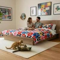 ราคา Tomato Home เตียง5ฟุต Donna Queen bed เตียงนอน5ฟุต เตียงไม้ | เตียงมินิมอล Chic สวยหรูเรียบง่าย | รับนนได้ 300โล คุ้มค่า (1730346909388867986)