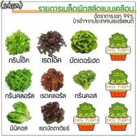 ราคา [COD] [Tiktok]Salad Seed Mix 8 (1735497227180214064)