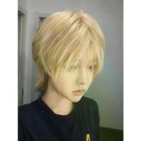 ราคา [Shining] Wolf Tail Wig for Men, Golden Mullet Head, Japanese Style, Middle Part, Short Hair, Cosplay, Full Head Wig for Men (1734099643188741885)