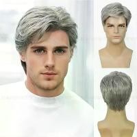 ราคา จัดส่งทันที. วิกผมสั้น วิกผู้ชาย สีควันwig วิกสีเทา วิกผมหงอก คุณพ่อ แฟชั่น (1733734436028843853)