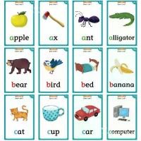 ราคา Oxford Phonics World English Word Teaching Tools Flashcards (1734705776123872305)