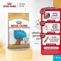 ราคา ▼Royal Canin Poodle Puppy 1.5kg อาหารเม็ดลูกสุนัข พันธุ์พุดเดิ้ล อายุต่ำกว่า 10 เดือน (Dry Dog Food, โรยัล คานิน)❦ (1735100806861981638)