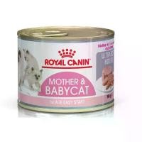 ราคา Royal Canin Mother & Baby Catแบบกระป๋อง195 กรัม ราคายกโหล12กระป๋อง Exp.09/2026 (1733863799772841479)