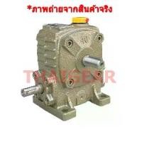 ราคา เกียร์ทดรอบมอเตอร์ ของใหม่ราคาถูก Worm Gear PA40 อัตราทด 1:10-60 (1734582591619565295)