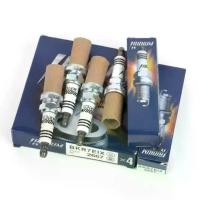 ราคา อะไหล่รถยนต์และมอเตอร์ไซค์ หัวเทียนไอridium รุ่น 2667 BKR7EIX สำหรับ Volkswagen CC, Golf, EOS, Jetta, Passat, Audi A3, A4, A5, A6, Q3, Q5, R8, TT และ Nissan Sunny, Almera, Serena (1735519729663379246)