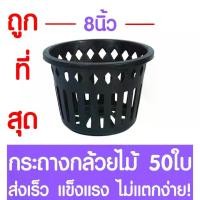 ราคา กระถางกล้วยไม้ กระถางต้นไม้ ขนาด 8 นิ้ว 50ใบ กระถางพลาสติก กล้วยไม้ กระถางกลม กระถางต้นไม้พลาสติก กระถางปลูกต้นไม้ กระถางดำ Flower pot (1735531363750872364)