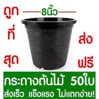 ราคา กระถางต้นไม้ กระถางพลาสติก ขนาด 8 นิ้ว 50ใบ กระถางกลม กระถางต้นไม้พลาสติก กระถางปลูกต้นไม้ กระถางดำ กระถางพลาสติกดำ Flower pot (1735531363815753004)