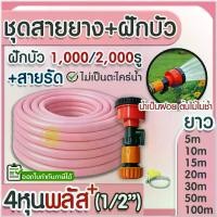 ราคา สายยาง สายยางรดน้ำ *สีชมพู* 1/2"(4หุน),5/8"(5หุน) แถมฝักบัว+สายรัด 1000รู/2000รู ต้นไม้ สวน ล้างรถ Clearance (1735429755002193584)