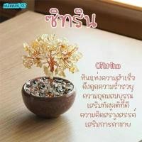 ราคา จัดส่งฟรี กทม ขายร้อน ต้นไม้ หินมงคล เสริม ฮวงจุ้ย โชคลาภ ร่ำรวย ความสูของมงคล ของขวัญ ต้นไม้มงคล อเมทิสต์ โรสควอตซ์ ต้นไม้ปลอม (1735351968821052621)