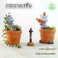 ราคา ☁Clearance กระถางแมว กระถางแคตตัส ไม้อวบน้ำ กุหลาบหิน จัดสวน อุปกรณ์จัดสวน ต้นไม้ แมว✫ (1735530663857194821)