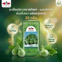 ราคา 【โปรโมชั่นสุดร้อน!】 【ฮิตมากในปีนี้】 ✧มะเขือเปราะ หยาดทิพย์ ทรงกลม ติดดก ทนโรค เมล็ดพันธุ์ มะเขือ มะเขือลูกผสม ตราศรแดง บรรจุ 20 กรัม♂ (1735439580099347659)