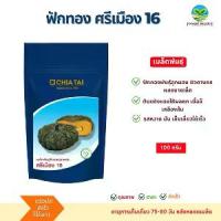 ราคา เมล็ดพันธุ์ ฟักทองศรีเมือง 16 ตราเจียไต๋ ขนาด 100 กรัม (1733619522143029108)