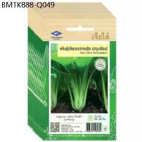ราคา เมล็ดพันธุ์ เขียวกวางตุ้ง ปทุมรัตน์ ขายส่ง ยกห่อ (1 ห่อ บรรจุ 10 ซอง) (1734203804465465295)