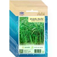 ราคา เมล็ดพันธุ์ ผักบุ้งจีนเรียวไผ่ เจียไต๋ ยกห่อ (10 ซอง) ราคาส่ง (1735359238754764179)