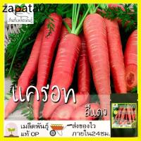 ราคา เมล็ดพันธุ์ แครอท สีแดง 200 เมล็ด Scarlet Red Carrot seed เมล็ดพันธุ์แท้ นำเข้าจากต่างประเทศ ปลูกผัก สวนครัว ปลูกง่าย โต (1735526639233565726)