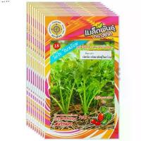 ราคา เมล็ดพันธุ์ ผักกาดเขียวน้อย พันธุ์ใบสร้อย สี่ทิศ ขายส่ง ยกห่อ (1 ห่อ บรรจุ 10 ซอง) (1735138388551173193)