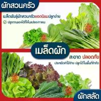 ราคา [COD] [Tiktok] *ค่าส่งถูก* ผักสลัด เมล็ดผัก เมล็ดผักสลัด (2,000เมล็ด+) เมล็ดพันธุ์ เมล็ดพันธุ์ผักสลัด งอกดี ปลูกผัก สลัด กรีนโอ๊ค คอส เม็ด ผักเคล 3 สายพันธุ์ (1735130554672383543)