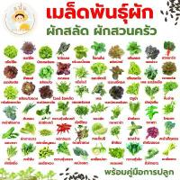 ราคา ส่งด่วน เมล็ดพันธุ์ ผักสลัด ผักสวนครัว กรีนโอ๊ค เรดโอ๊ค บัตเตอร์เฮด เรดคอส กรีนคอส เบบี้คอส เคล ฯลฯ (1734225728105383603)