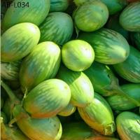 ราคา มะเขือตอแหล 200 เมล็ดพันธุ์ | ปลูกครั้งเดียว เก็บกินได้ไม่ขาด ปลูกง่าย โตเร็ว ผลผลิตเยอะ สำหรับครัวไทยทุกวัน (1735085506056651973)