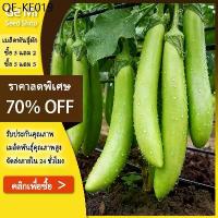 ราคา GEMI [ ซื้อ 5 แถม 5 ฟรี] เมล็ดพันธุ์ สีเขียว เมล็ดมะเขือยาว 300 มล็ด งอกดี ปลูกง่าย โตไว ผลผลิตสูง (1735289370362021112)