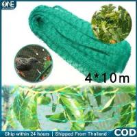 ราคา ตาข่ายกันนก 4x10M | อวนกันนก สีเขียว | ตาข่ายคลุมต้นไม้ผล ป้องกันนกกินผลผลิต วัสดุเหนียวทนทาน อุปกรณ์ทำสวน (1735464484244587665)